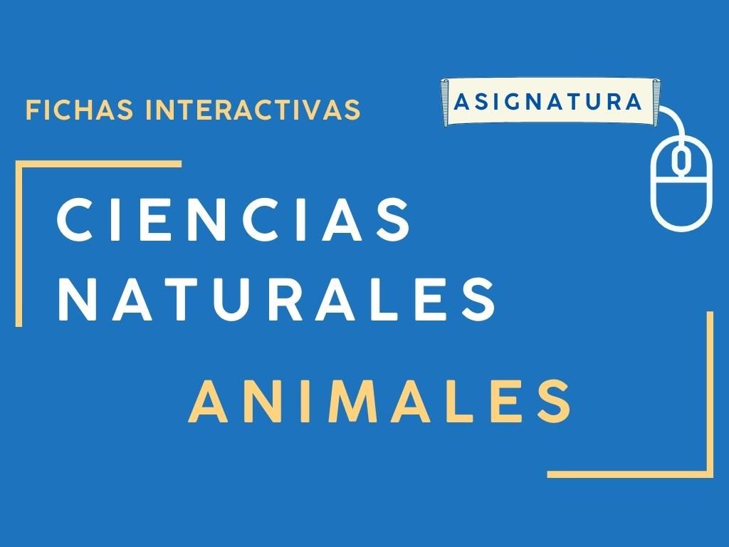 Fichas Interactivas De Animales: Ciencias Nautrales 2024