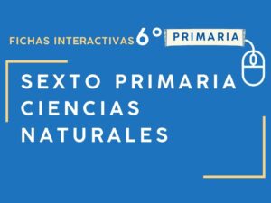 Fichas Interactivas De Ciencias Naturales 6º Para 2024