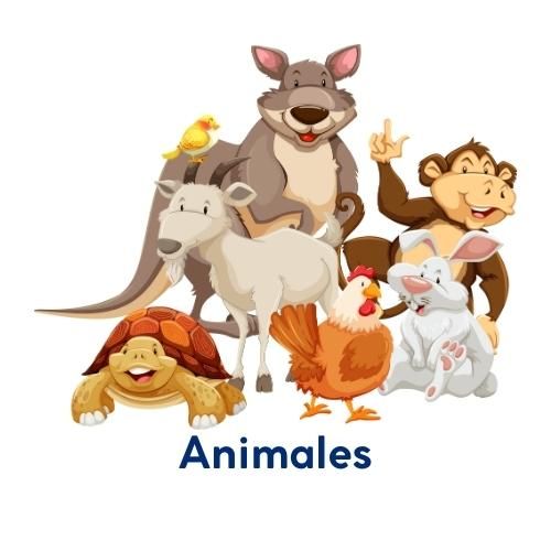 Fichas interactivas de la Tierra para Ciencias Naturales 4 Fichas interactivas de matemáticas sobre animales