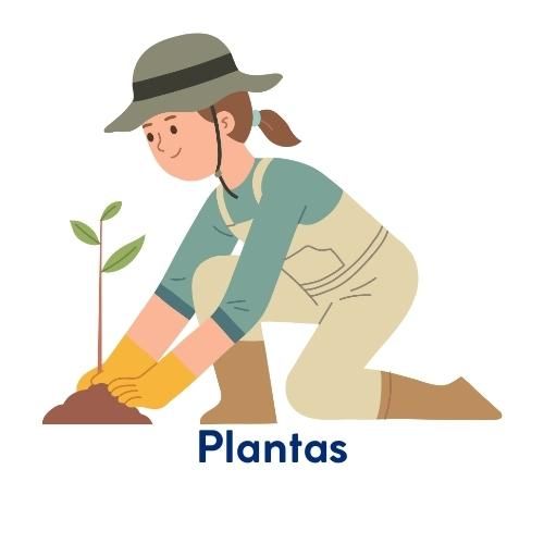 Fichas interactivas de la Tierra para Ciencias Naturales 2 Fichas interactivas de matemáticas sobre las plantas